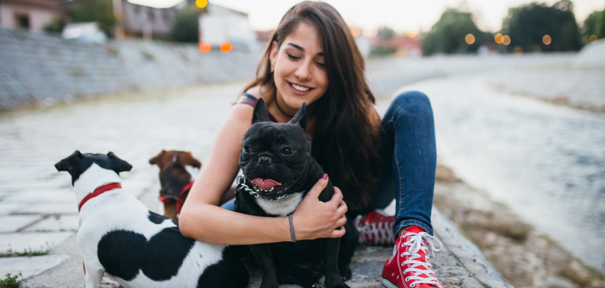 London Dog Walking Dog Walking